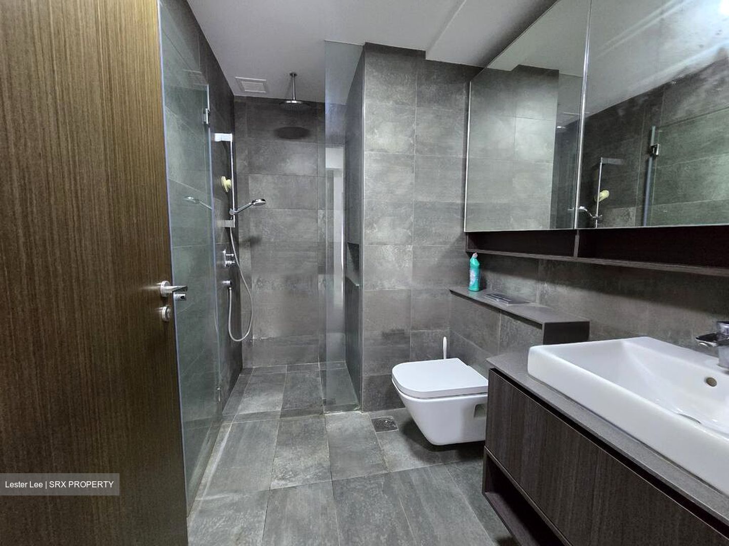 Grandeur Park Residences (D16), Condominium #460379781